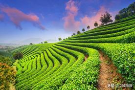 土地使用权出让合同范文