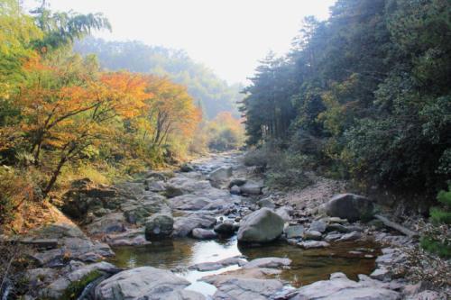 九华山在哪个省哪个市哪个县（中国佛教四大名山之一的九华山不可错过）