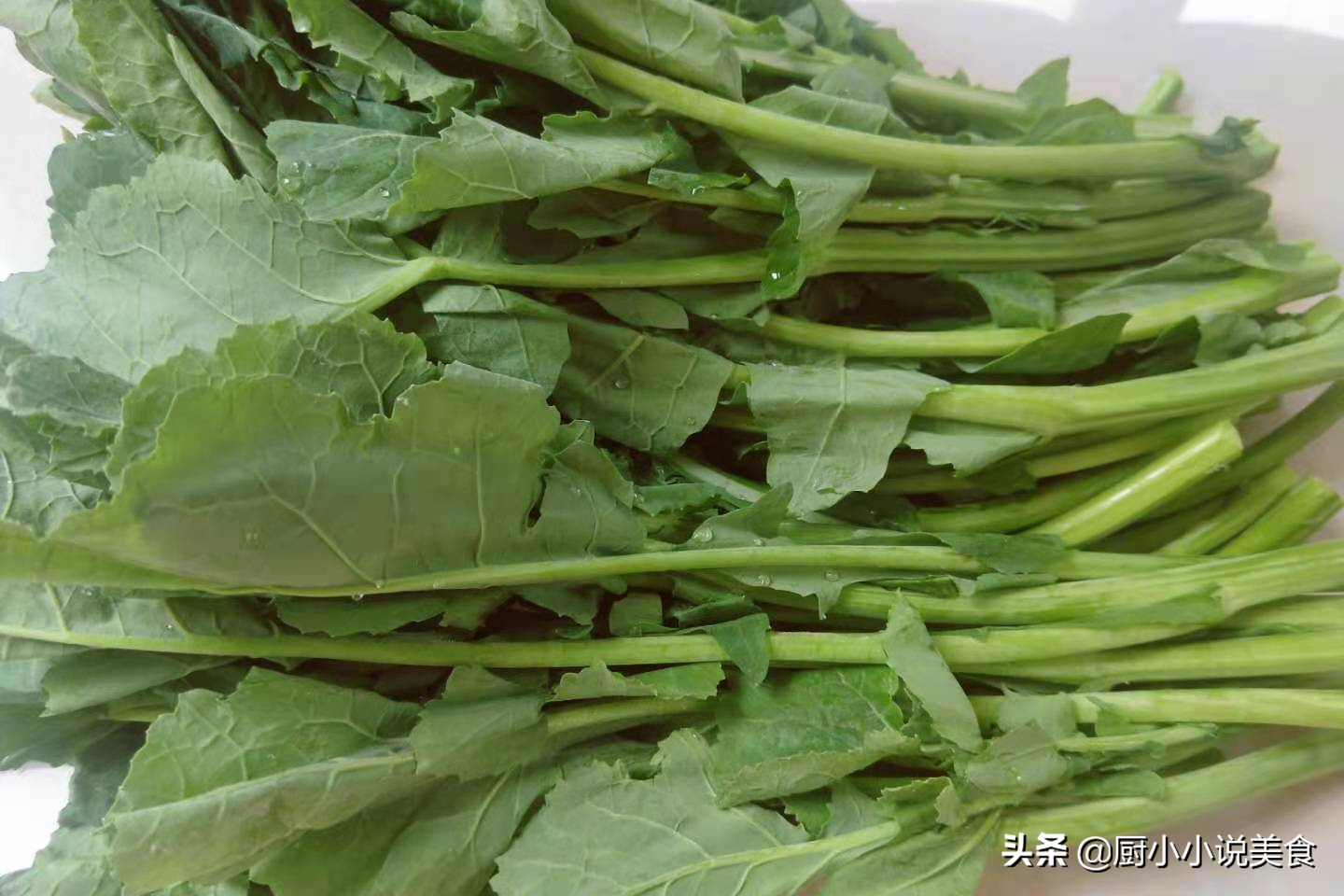 菜心是什么菜的名字（“油菜苔”和“菜心”有哪些不同）